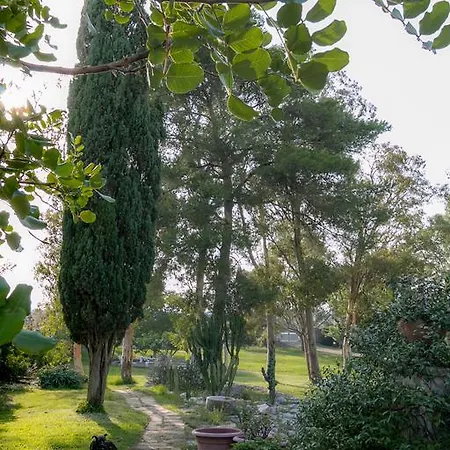 Casa vacanze Tenuta Masseria Cocciolicchio
