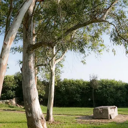 Casa vacanze Tenuta Masseria Cocciolicchio *