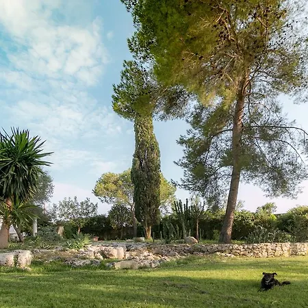 Casa vacanze Tenuta Masseria Cocciolicchio
